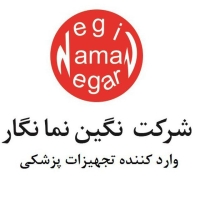 neginnamanegar